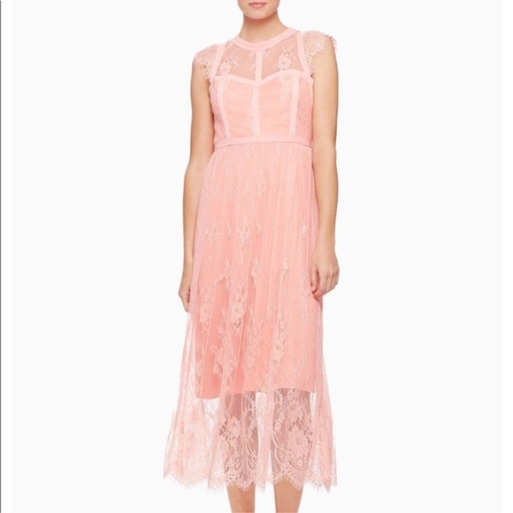Parker Black Label Tesoro Pink Lace Long Midi Maxi Dress Gown Size S - Picture 1 of 12
